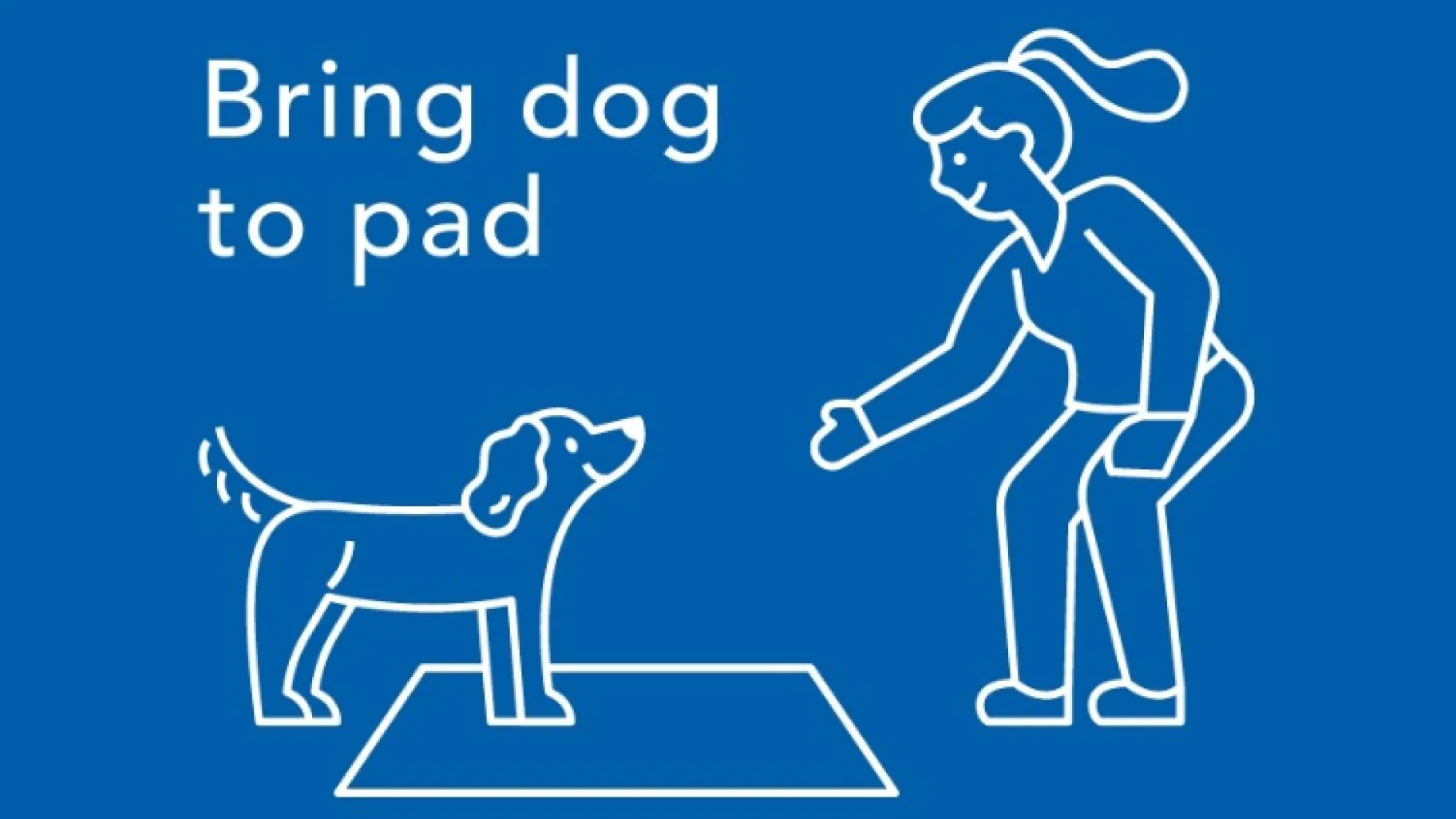 Bring dog to pad