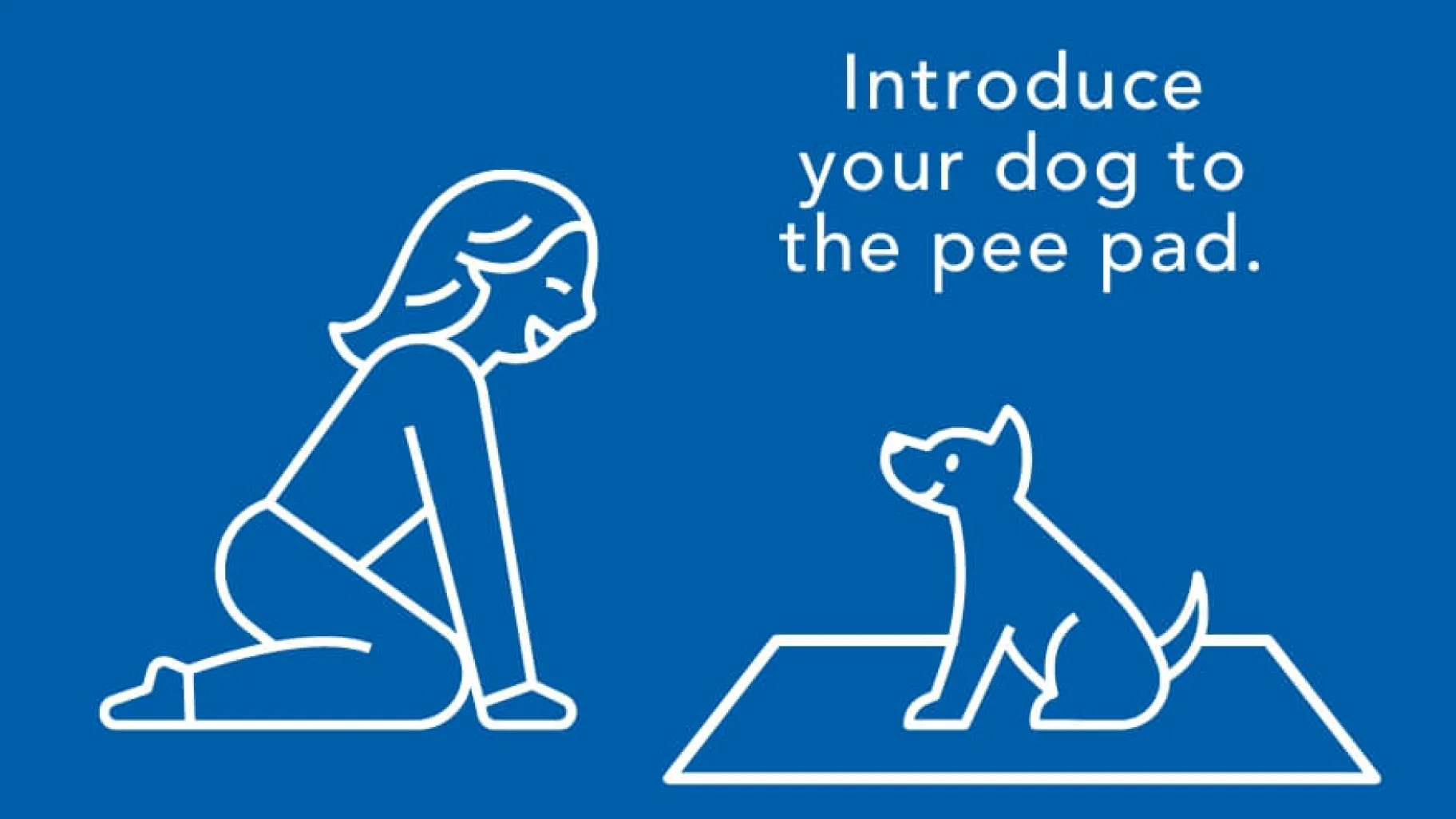 Introduce your dog to the pee pad