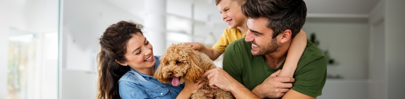 Woman, man, and child petting and holding a dog 