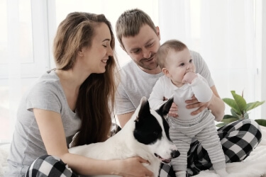 Woman, man, child and dog together indoors