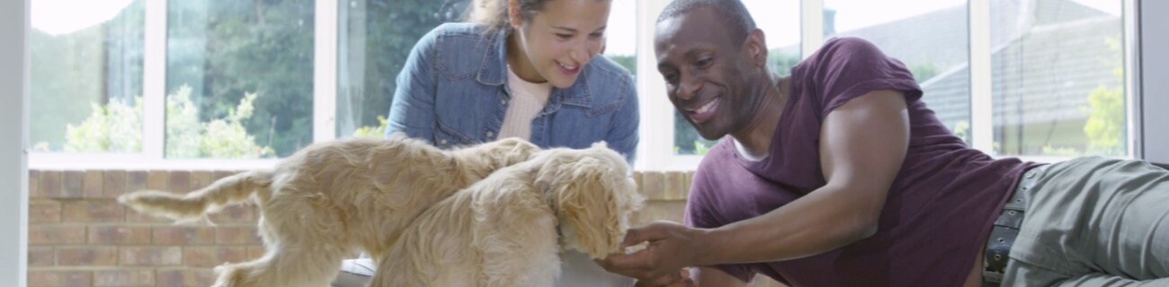 Potty Training - Banner 